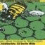 Bienen_thumb