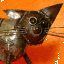 Qschn16_thumb