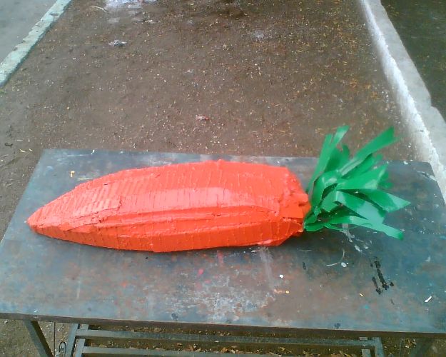 Zanahoria061